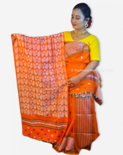 Traditional NorthEast &ndash; Traditional NorthEast