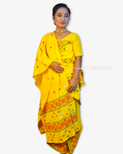 Traditional NorthEast &ndash; Traditional NorthEast